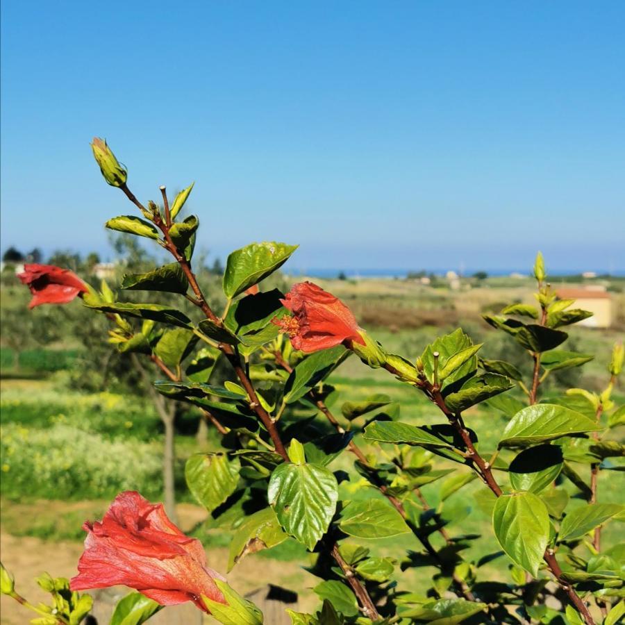 בלסטראטה Azienda Agrituristica Baglio Carta מראה חיצוני תמונה