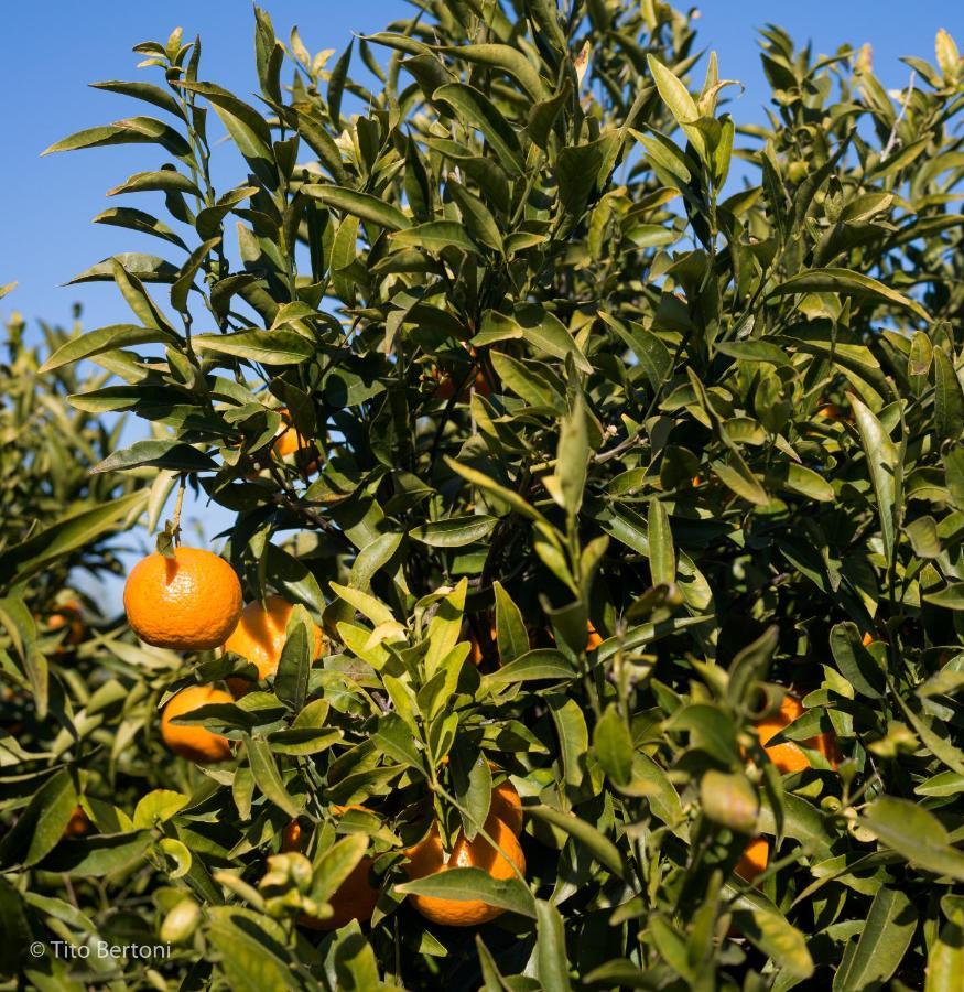 בלסטראטה Azienda Agrituristica Baglio Carta מראה חיצוני תמונה