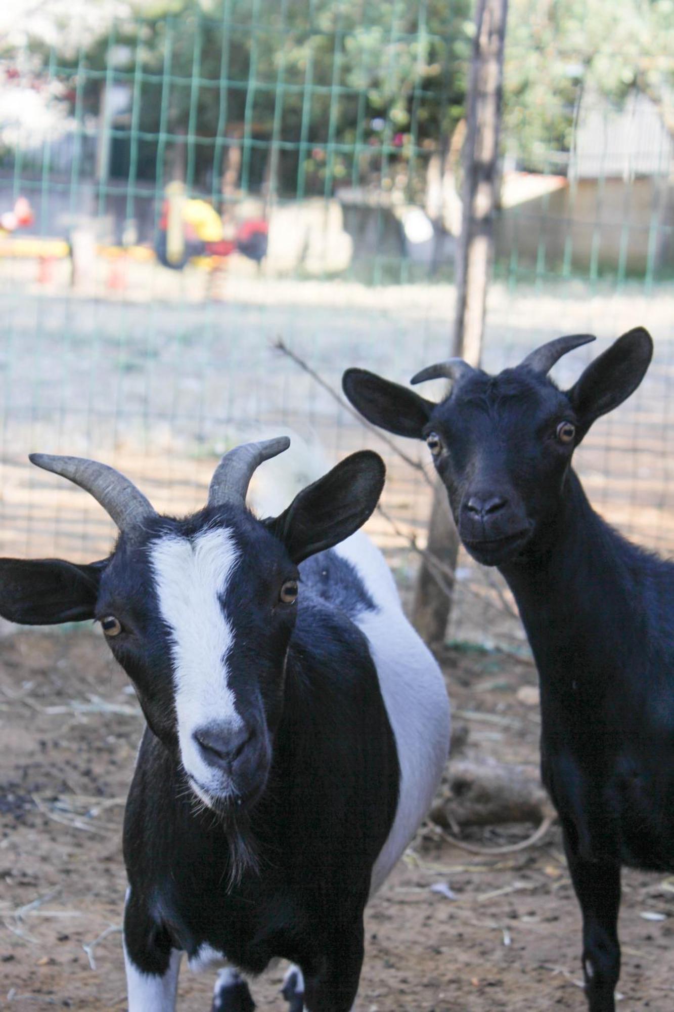 בלסטראטה Azienda Agrituristica Baglio Carta מראה חיצוני תמונה