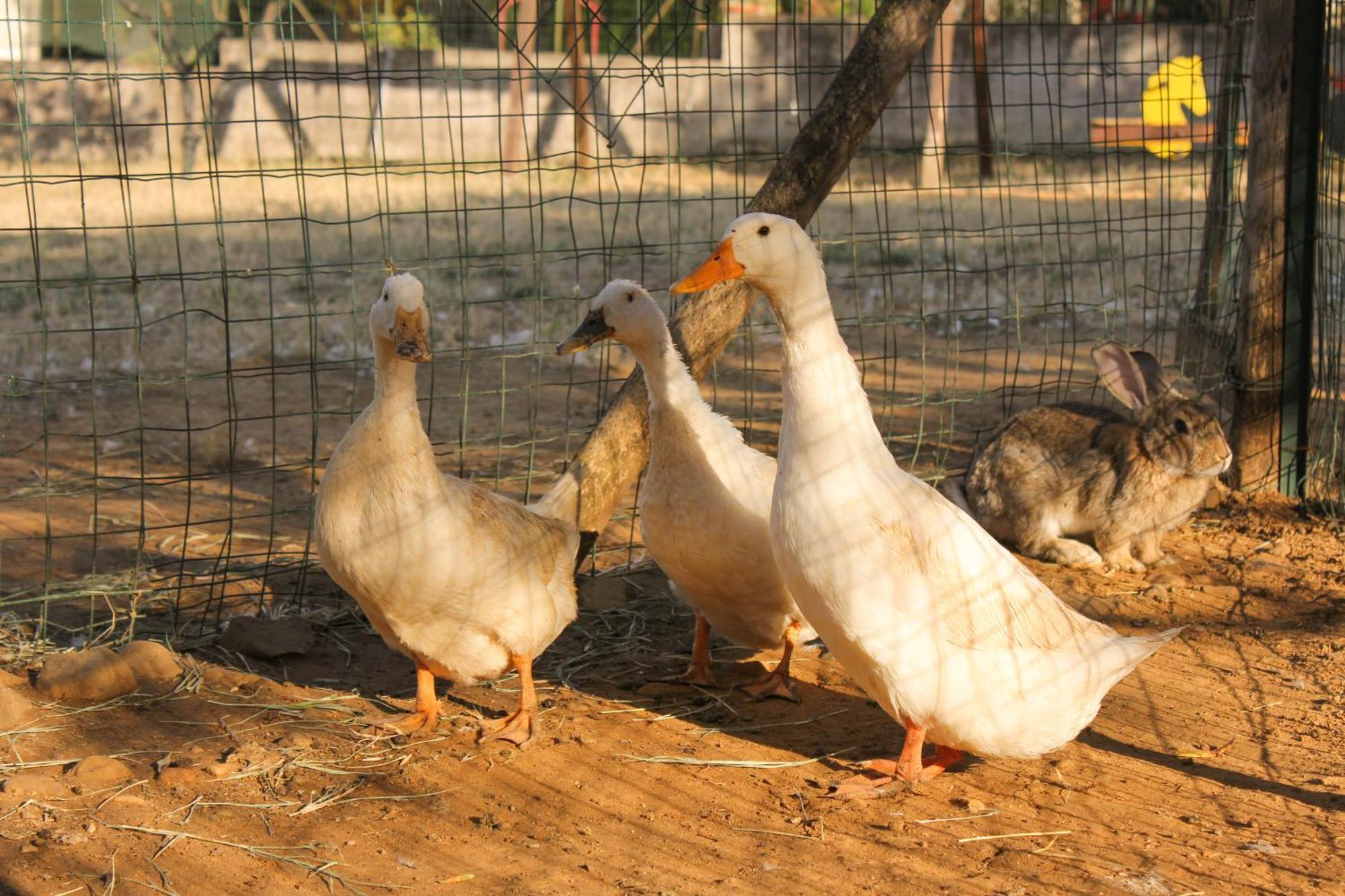 בלסטראטה Azienda Agrituristica Baglio Carta מראה חיצוני תמונה