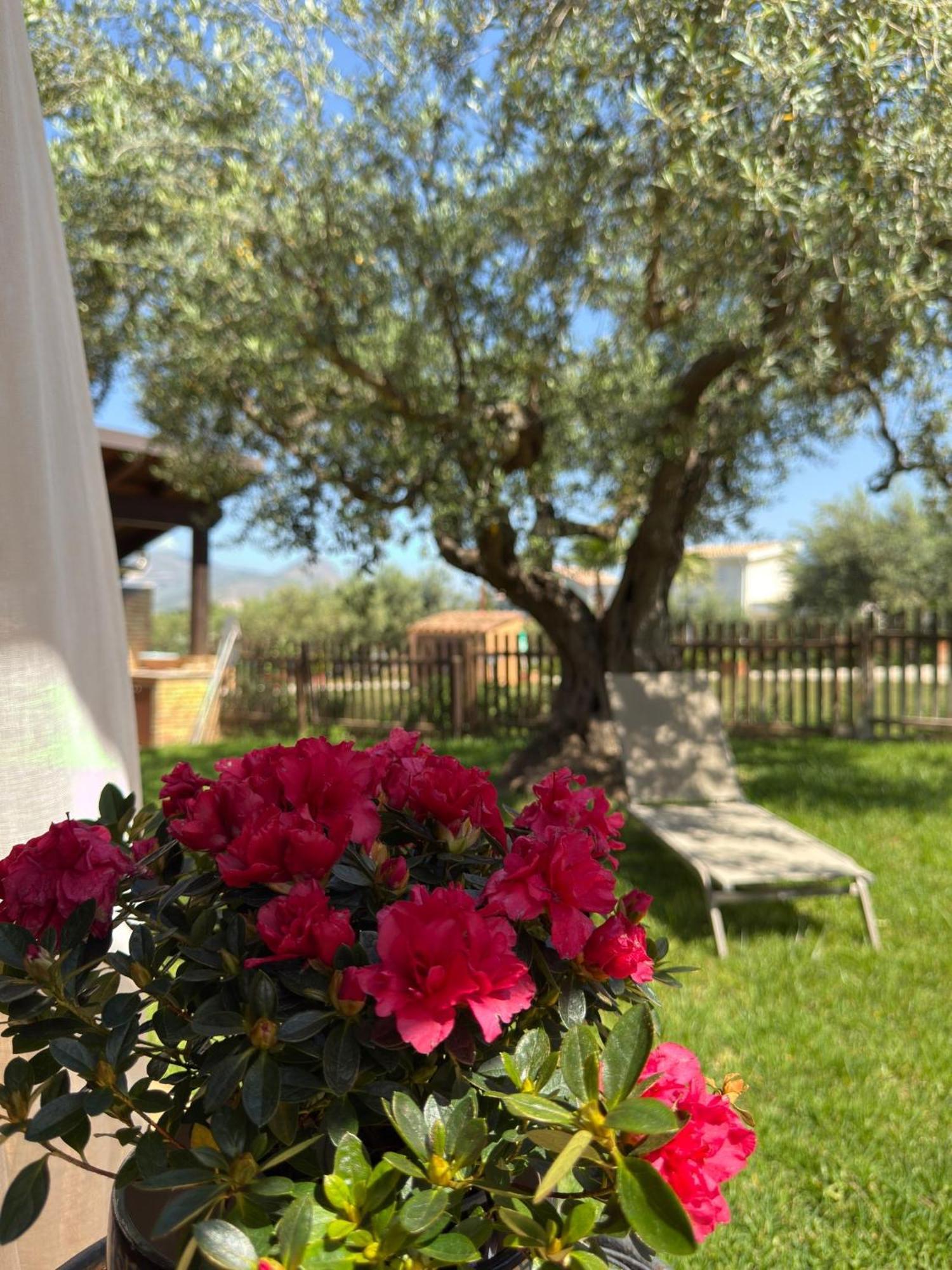 בלסטראטה Azienda Agrituristica Baglio Carta מראה חיצוני תמונה